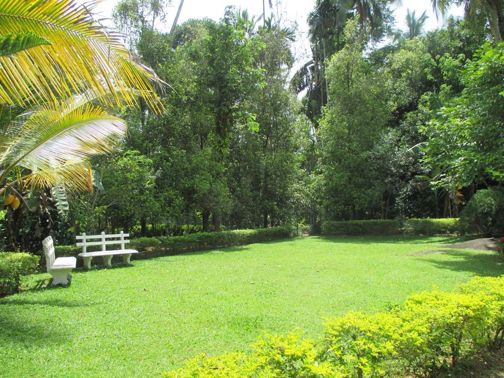 Alfred Colonial Bungalow & Spice Garden Kobbekaduwa Quarto foto