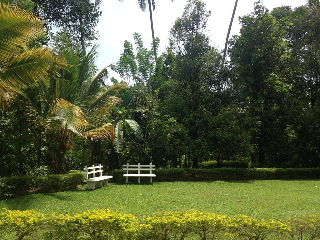 Alfred Colonial Bungalow & Spice Garden Kobbekaduwa Quarto foto